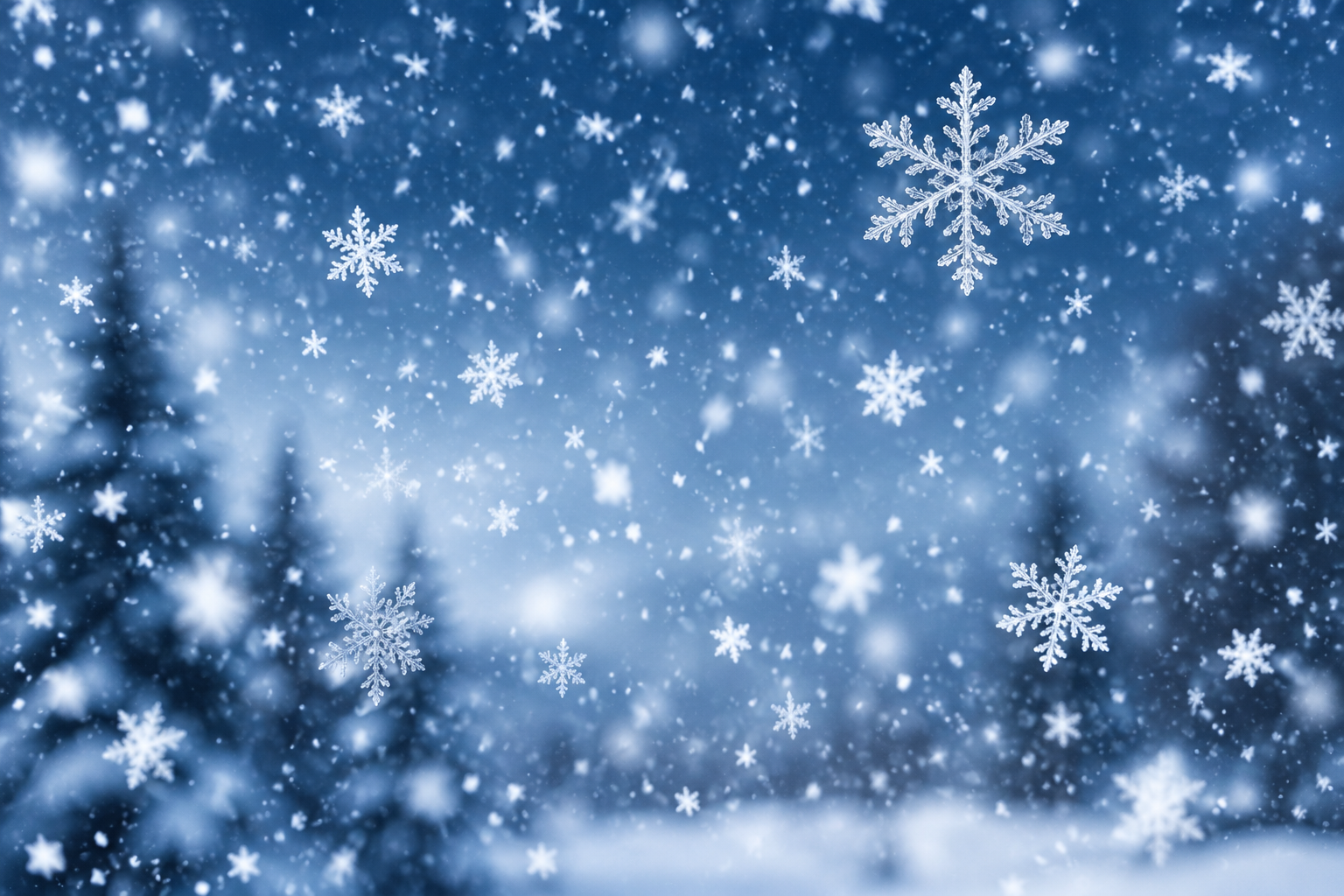 Magischer Schneefall im Winterwald(1)